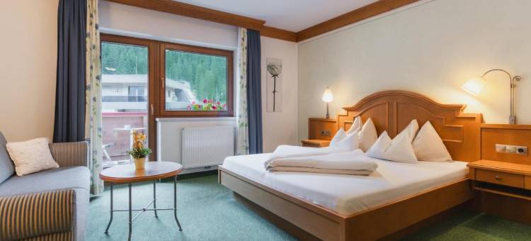 阿尔平贝格豪斯酒店(Alpinhotel Berghaus Spa)图片