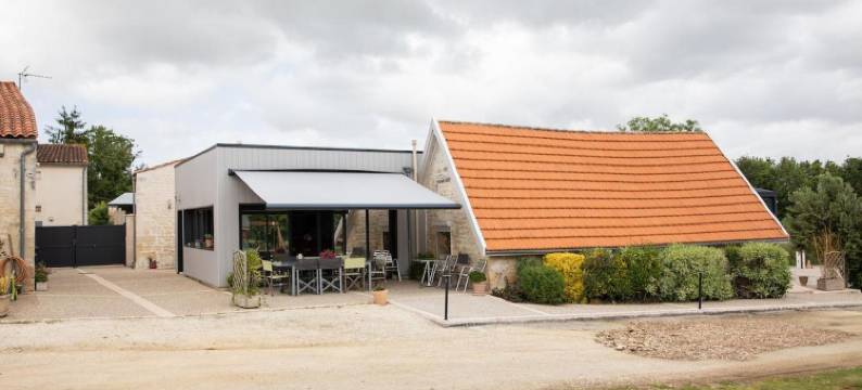 最佳Saintonge(Best Saintonge)图片