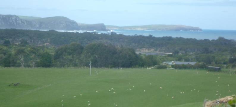 卡特林山顶住宿(Hilltop Accommodation Catlins)图片