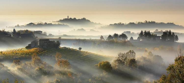 波吉欧别墅酒店(Villa del Poggio Prosecco Bike Hotel)图片