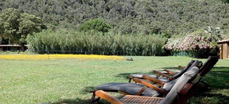 克罗港口庄园酒店(Le Manoir de Port-Cros)图片