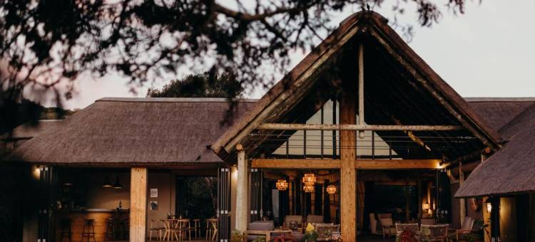 布克拉野生动物旅馆 - 阿马卡拉野生动物保护区(Bukela Game Lodge - Amakhala Game Reserve)图片