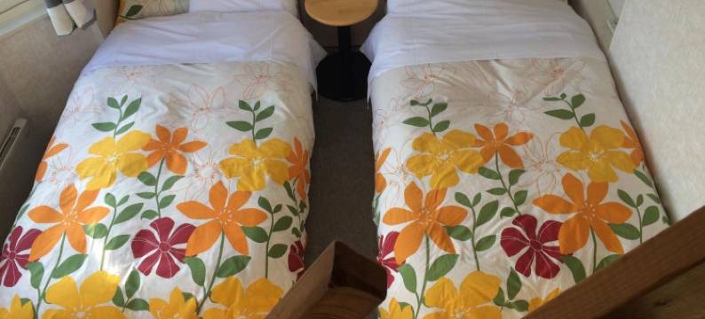 联运高级旅馆(Pension Locomotion)图片