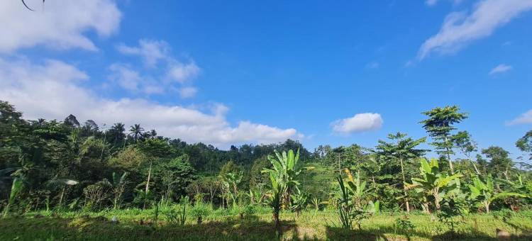 特特巴图山谷简易别墅(Tetebatu Valley Bungalows)图片