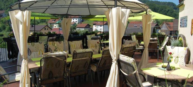 格鲁纳鲍姆乡村酒店(Hotel Grüner Baum Mit Restaurant & Wellness)图片