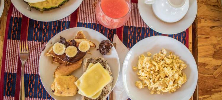 罗卡圣安东尼奥生态小屋旅馆酒店(Roça Santo António Ecolodge)图片