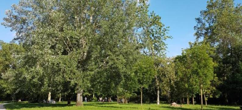 Monza Park Apartment图片