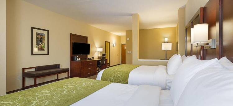 舒适套房酒店(Comfort Suites Greenville South)图片