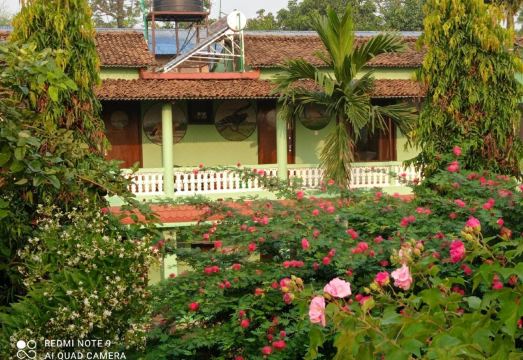 Hotel Rhino Land, SaurahaHotel Overview