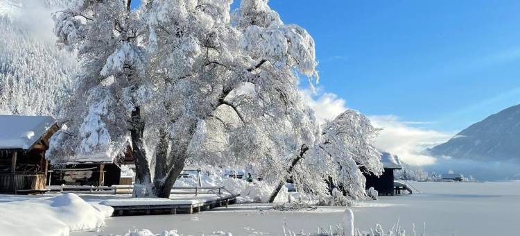 菲伦霍夫纽泽哈尔莫泽酒店(Ferienhof Neusacher Moser)图片
