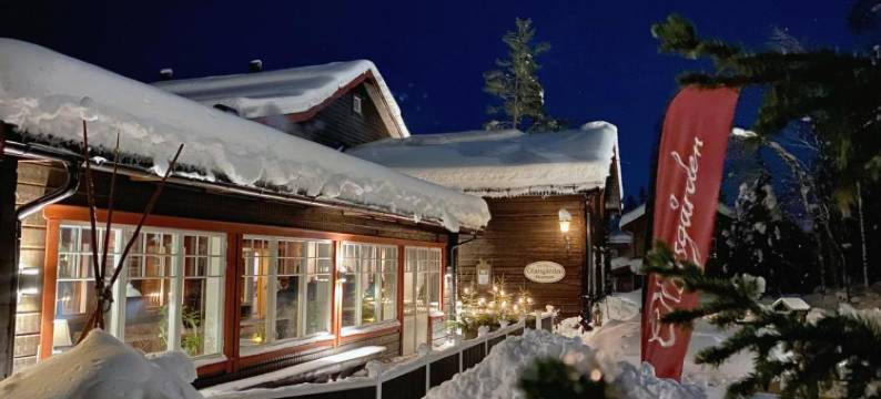 欧拉斯戈登酒店(Olarsgården Hotell)图片