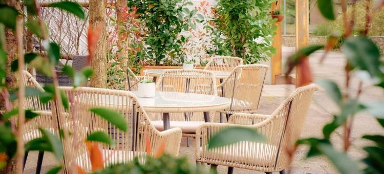 野性酒店(Wilding Hotel)图片