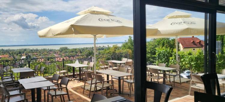泽尼特巴拉顿酒店(Zenit Wellness Hotel Balaton)图片