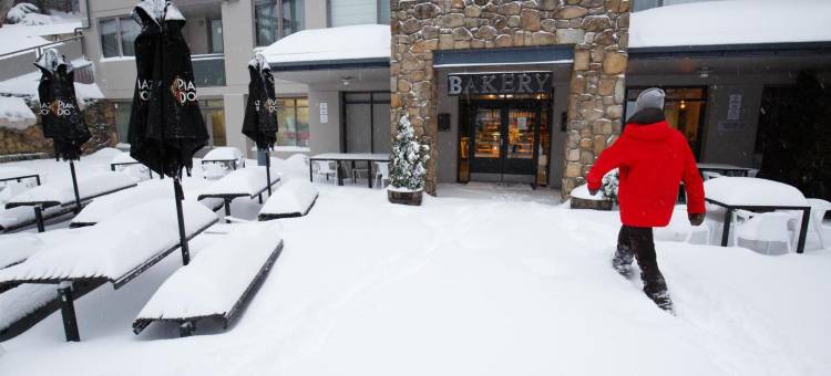 特瑞伯阿尔卑斯山酒店(Thredbo Alpine Hotel)图片