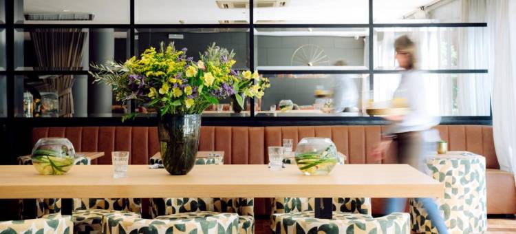 时髦&精简天鹅绒住宿(Chic & Basic Velvet)图片