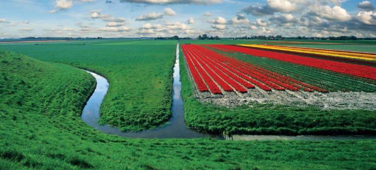 Hotelhuisjes 安代克酒店(Hotelhuisjes Andijk)图片