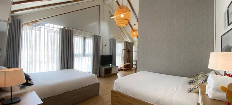 雏菊小屋旅馆(Daisy House)图片