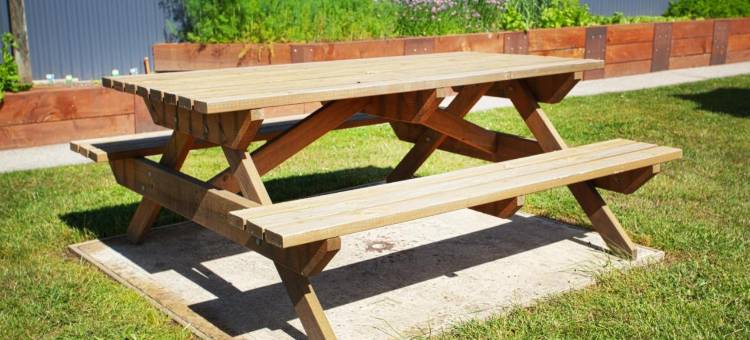 发现公园 - 哈德斯彭(Discovery Parks - Hadspen)图片