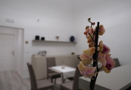 Heart City Rooms Hotel Overview