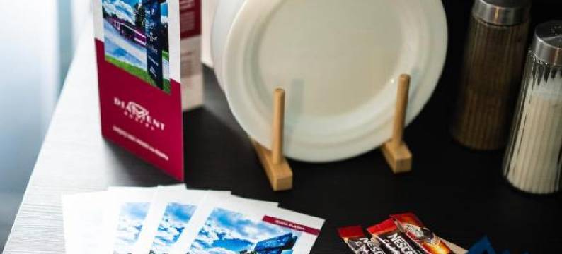 瑞德莎斯拉卡钻石酒店(Diament Ruda Śląska)图片