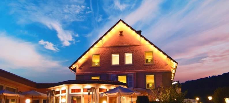 佐豪斯阿尔特斯酒店(Altes Zollhaus)图片