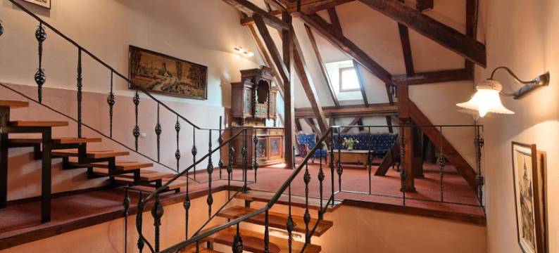 特劳伯酒店(Hotel Traube)图片