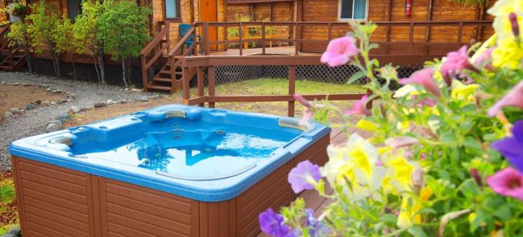 迪纳利小屋旅馆(Denali Cabins)图片