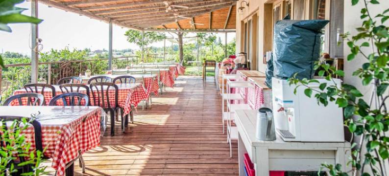 Mettler Winery图片