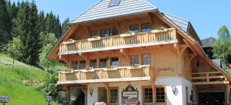 荷恩加斯特霍夫格鲁纳鲍姆酒店(Hotel & Restaurant Grüner Baum - Die Grüne Oase am Feldberg)图片