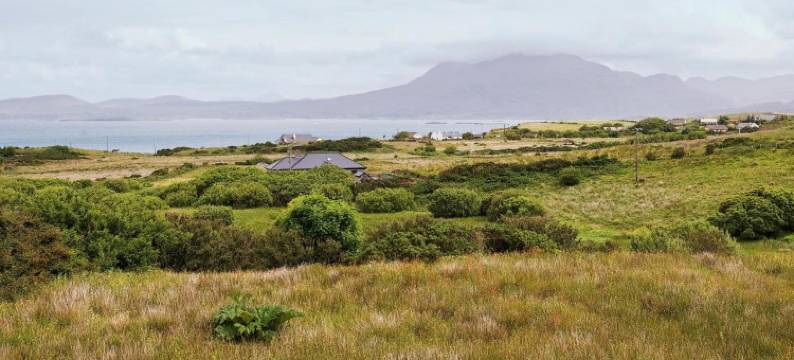 城堡屋住宿加早餐旅馆(Castlehouse B&B)图片