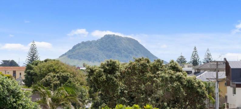 波特舍德汽车旅馆公寓(Boatshed Motel Apartments)图片