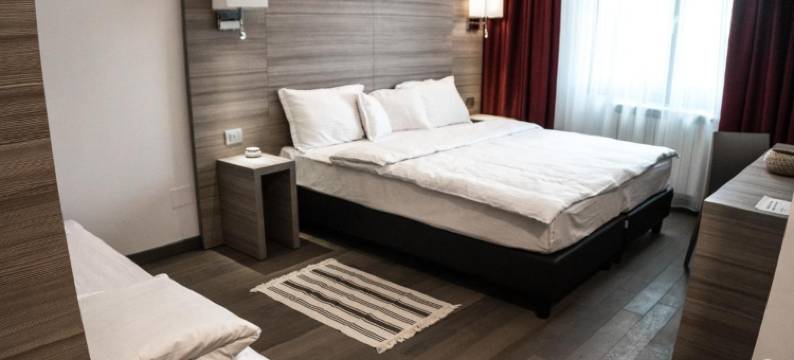 Pensiunea Negoiu图片