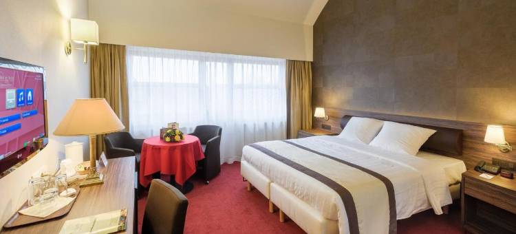 德美第奇金色郁金香酒店(Golden Tulip Hotel de Medici)图片