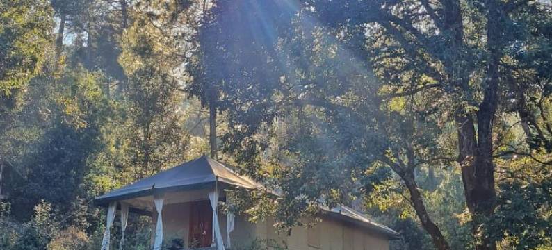 纳亚拉普旅馆(Nayalap - Rural Himalayan Glamping)图片