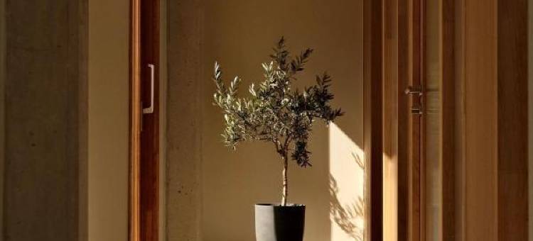 La Maison Gaïa酒店和Spa(La Maison Gaïa Hôtel & Spa)图片