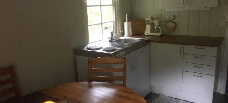 步达斯酒店(Briksdalsbre Fjellstove)图片