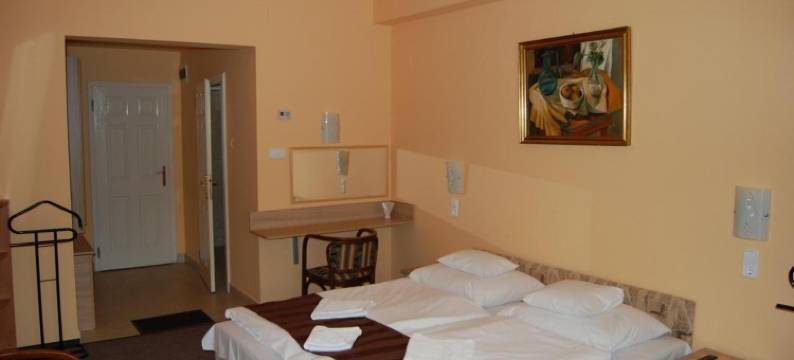 朱迪特旅馆(Judit Panzio)图片