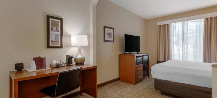 哥伦布州立大学舒适套房酒店(Comfort Suites Columbus State University Area)图片