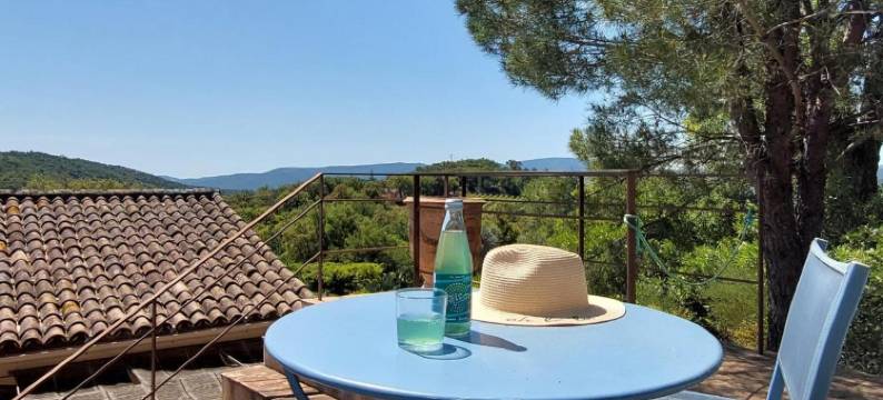 欢乐别墅酒店(Villa des Delices)图片