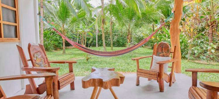 拉纳卡维塔山林小屋(La Rana de Cahuita)图片