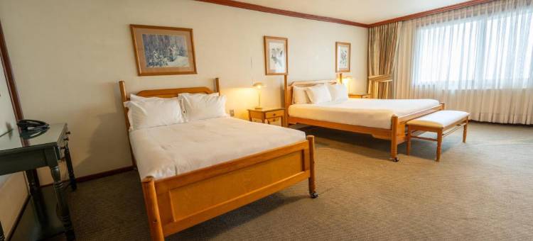 蒙特港阿巴总统套房公寓酒店(Abba Presidente Suites Puerto Montt)图片