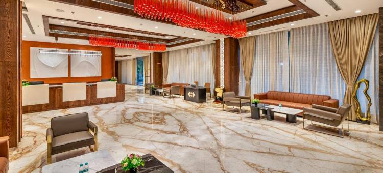 天空之光洛兹酒店(SkkyLight Lords Inn Nanded)图片