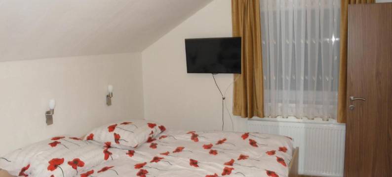 Hotel and Restaurant Ana图片