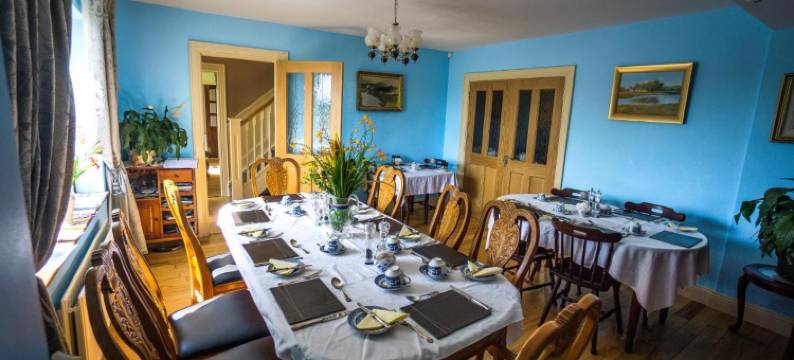 城堡景观住宿加早餐旅馆(Castle View House)图片