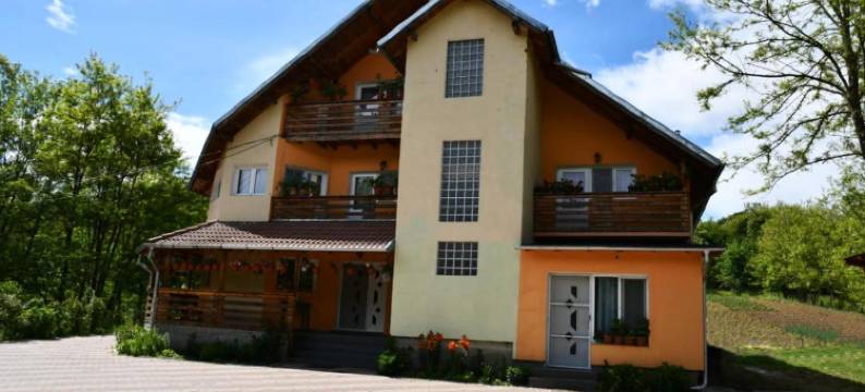 Pensiunea Valea Badilii图片