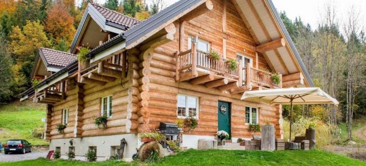 Chalet le Dorf图片