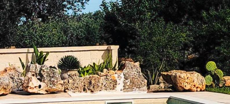 村庄民宿(La Casa Nel Villaggio)图片