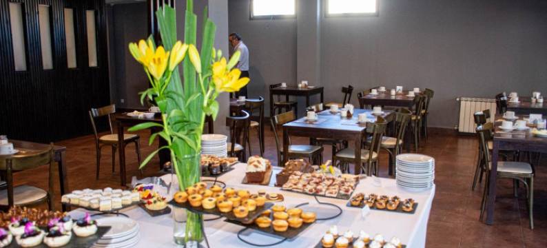 杜米布宜诺斯艾利斯酒店(Duomi Hotel Buenos Aires)图片