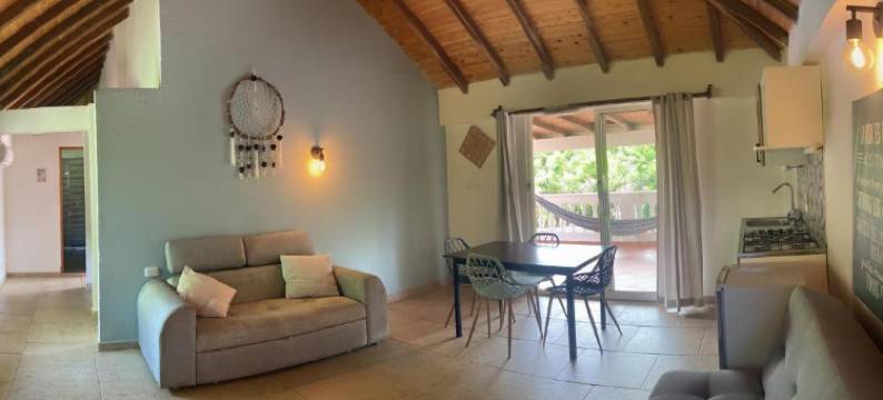 普里玛卢娜帕洛米诺(Primaluna Palomino)图片