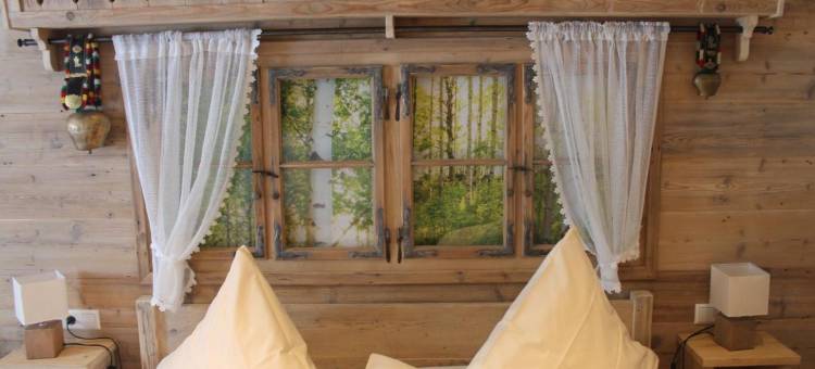 荷恩加斯特霍夫格鲁纳鲍姆酒店(Hotel & Restaurant Grüner Baum - Die Grüne Oase am Feldberg)图片